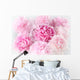 Floral background of pink peonies varieties Albert Kruss Wall Mural