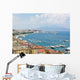 Panoramic Naples from Posillipo