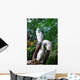 Parrots Wall Mural