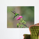 Hovering Hummingbird Wall Mural