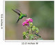 Hovering Hummingbird Wall Mural