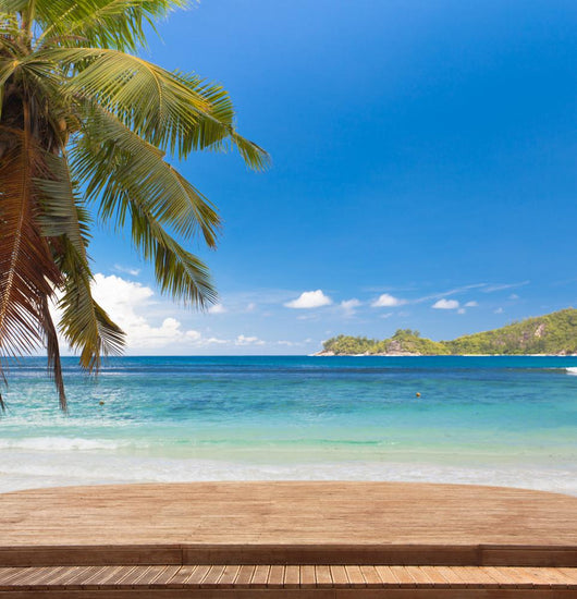 Terrace Beach Seychelles