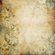 Grunge Floral with Space