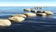 Path of Stones on the Water Wall Mural