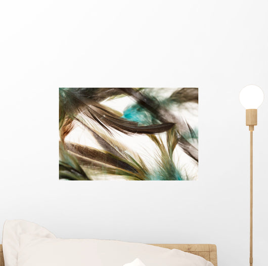 Color feathers Wall Mural