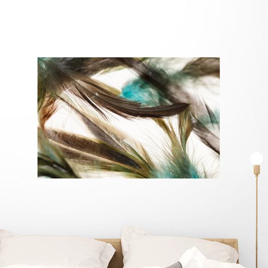 Color feathers Wall Mural