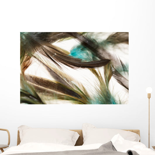 Color feathers Wall Mural