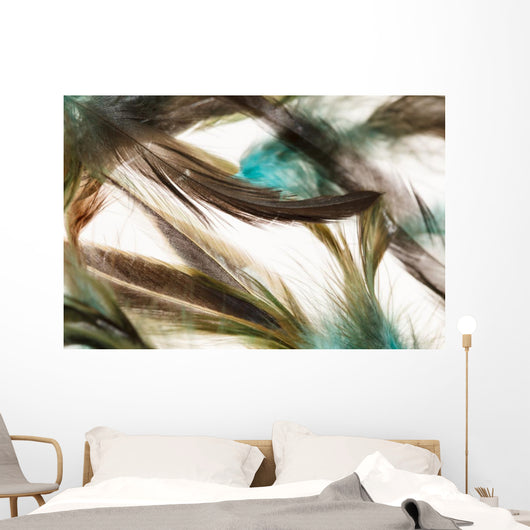 Color feathers Wall Mural