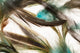 Color feathers Wall Mural