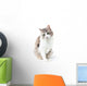 Prtrait Pretty Kitty with Wall Decal