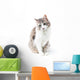 prtrait of pretty kitty with green eyes isolated on white Wall Decal
