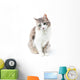 prtrait of pretty kitty with green eyes isolated on white Wall Decal