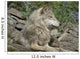 Wolves at Den in Northern Minnesota Wall Mural