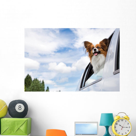 Papillon Dog Traveling Car