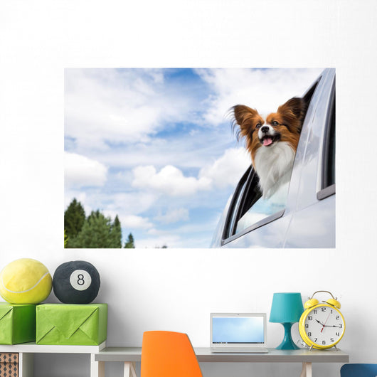 Papillon Dog Traveling Car