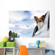 Papillon Dog Traveling Car