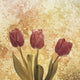 Tulip flowers Wall Mural