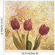 Tulip flowers Wall Mural