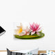 Beautiful Water Lilies Wall Decal