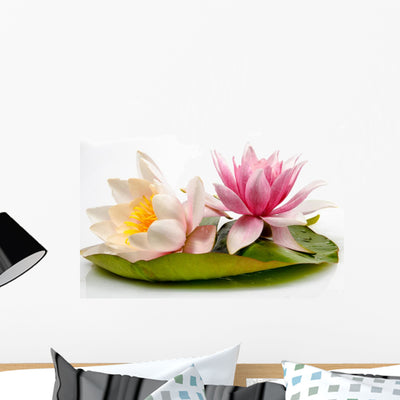 Beautiful Water Lilies Wall Decal shown on a wall
