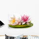 Beautiful Water Lilies Wall Decal