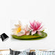 Beautiful Water Lilies Wall Decal