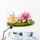 Beautiful Water Lilies Wall Decal
