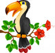 Cute toucan bird cartoon Wall Decal