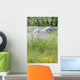 Weisser Schimmel Blumenwiese Wall Mural