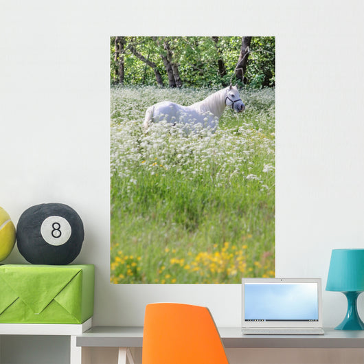 Weisser Schimmel Blumenwiese Wall Mural