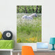 Weisser Schimmel Blumenwiese Wall Mural
