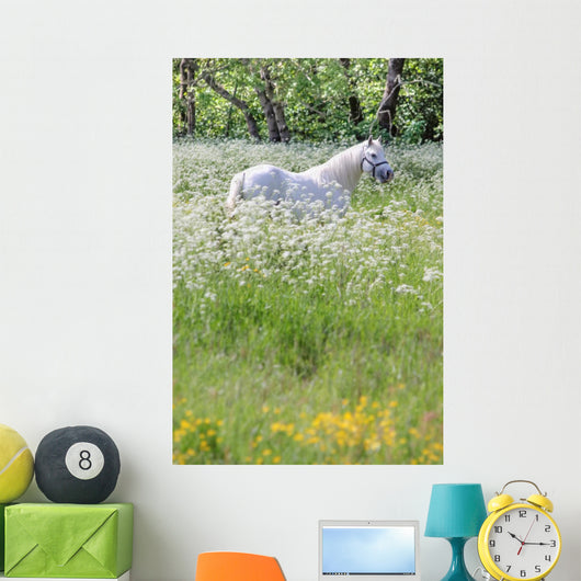 Weisser Schimmel Blumenwiese Wall Mural