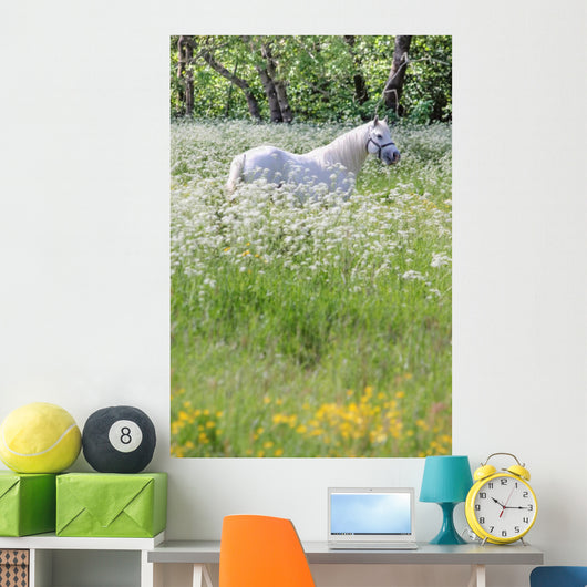 Weisser Schimmel Blumenwiese Wall Mural
