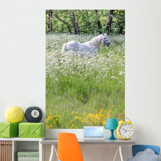 Weisser Schimmel Blumenwiese Wall Mural