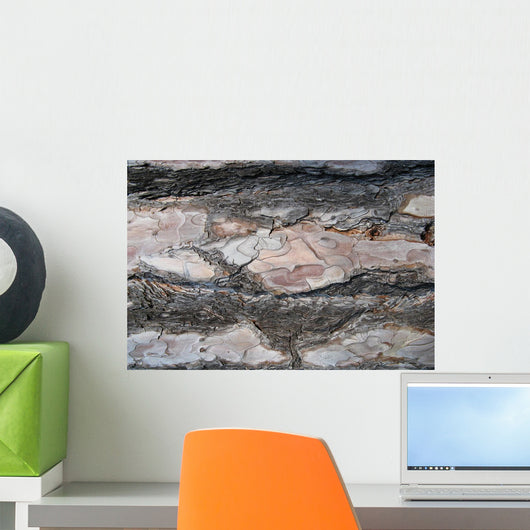 Tree Bark Wall Mural