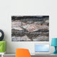 Tree Bark Wall Mural