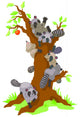 Group Raccoons Dominating Old Wall Decal