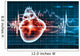 Human Heart Beats