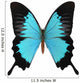 Peacock Royal Wall Decal