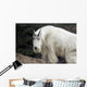 Mountain goat Wall Mural
