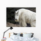 Mountain goat Wall Mural