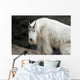 Mountain goat Wall Mural