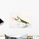 Mantis White Wall Decal