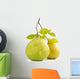 Green pomelo fruit Wall Decal
