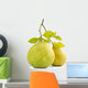 Green pomelo fruit Wall Decal