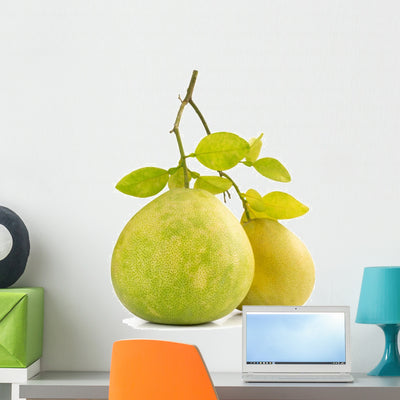Green Pomelo Fruit Wall Decal shown on a wall
