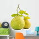 Green pomelo fruit Wall Decal