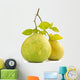 Green pomelo fruit Wall Decal
