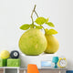 Green pomelo fruit Wall Decal