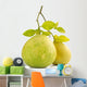 Green pomelo fruit Wall Decal